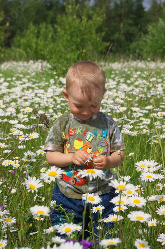 Little boy