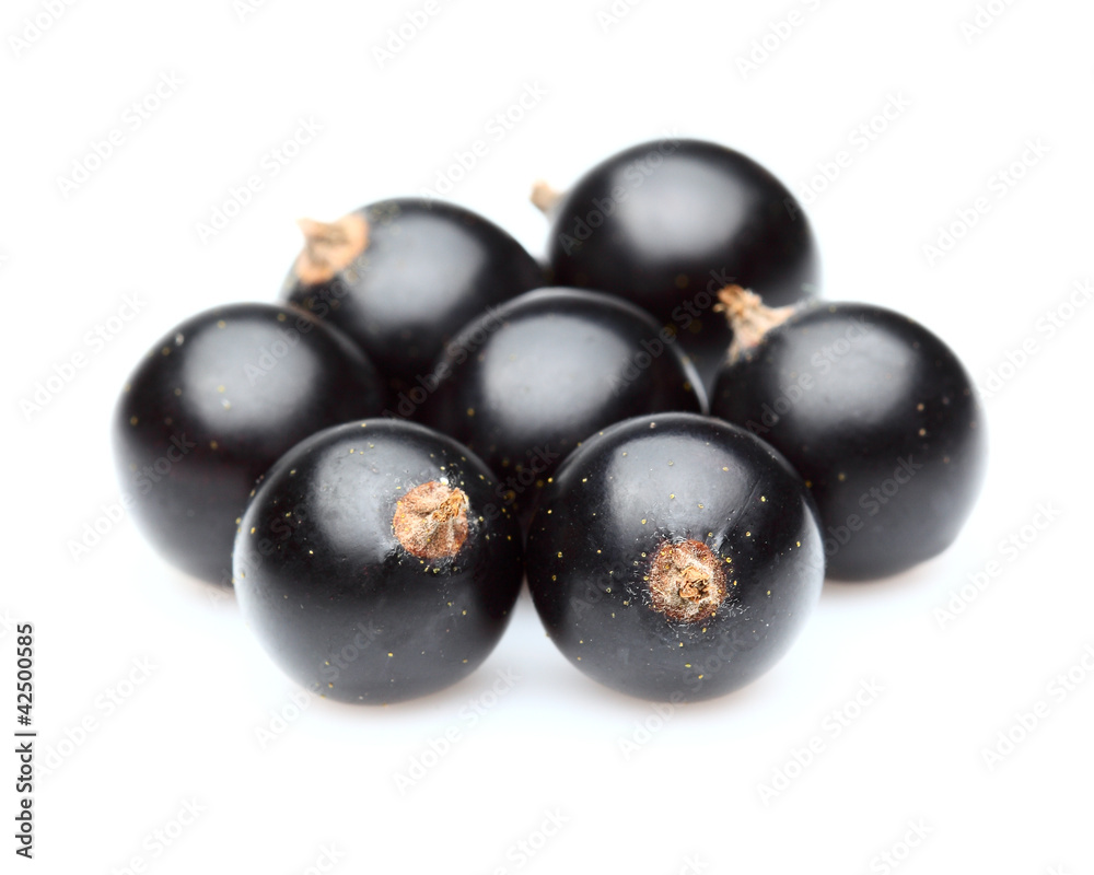 Blackcurrant in closeup Blackcurrant in closeup