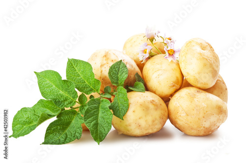 potatoes