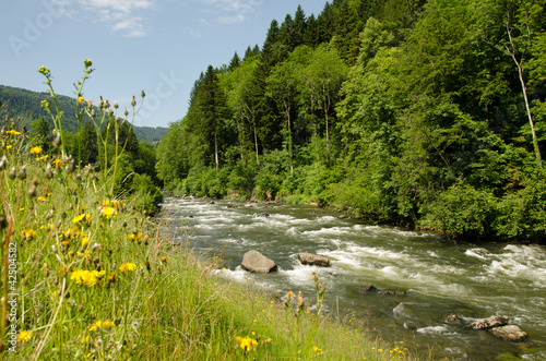 Rapides sur le doubs en aval de Soubey.