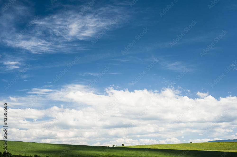 Fototapeta premium Meadows in summer with shadow