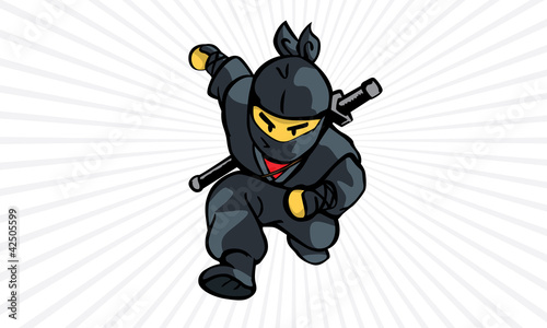 Ninja Charge #42505599