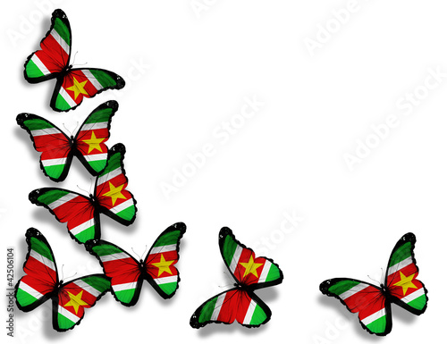Republic of Suriname flag butterflies, isolated on white backgro