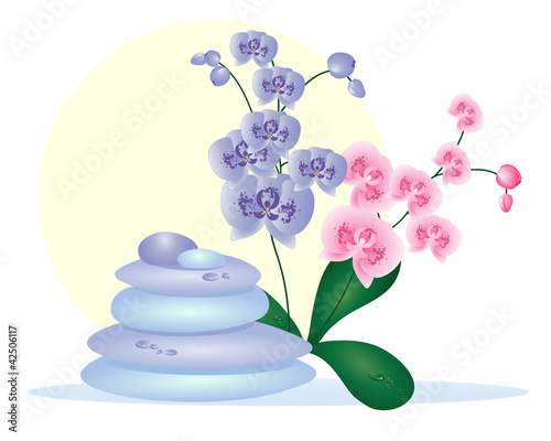 spa pebbles with orchids