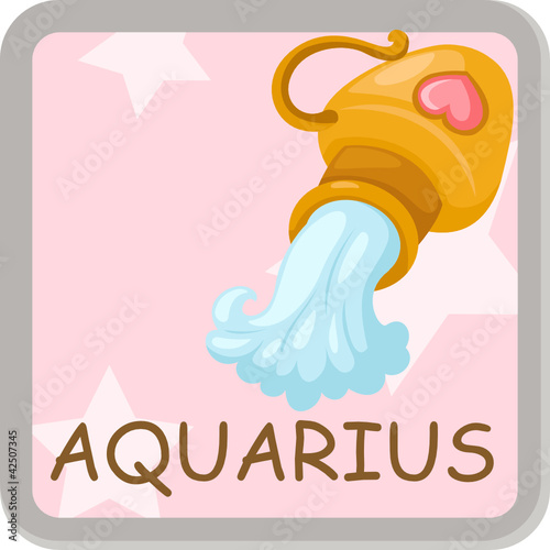 aqarius zodiace