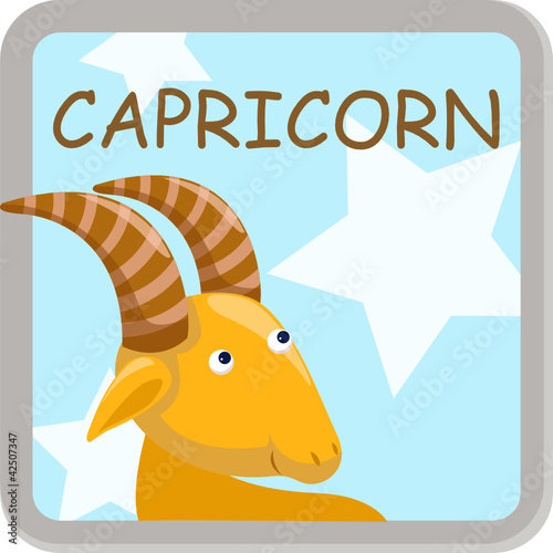 capricorn zodiac