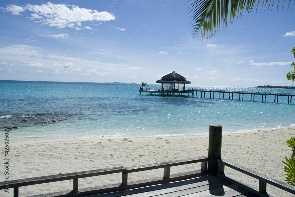 Beach of maldives