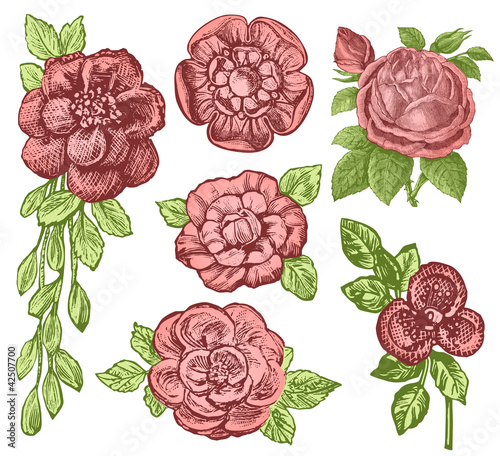 Fleurs