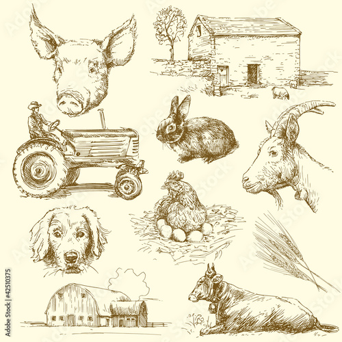 farm animals
