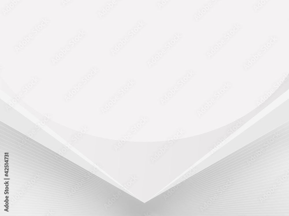 Light-Gray-White (Silver) background BoxRiden-SG 003, white mesh