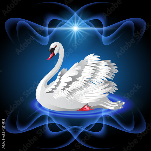 Elegant white swan