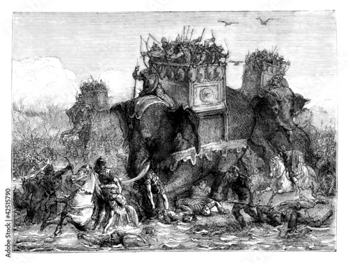 Warriors & Elephants