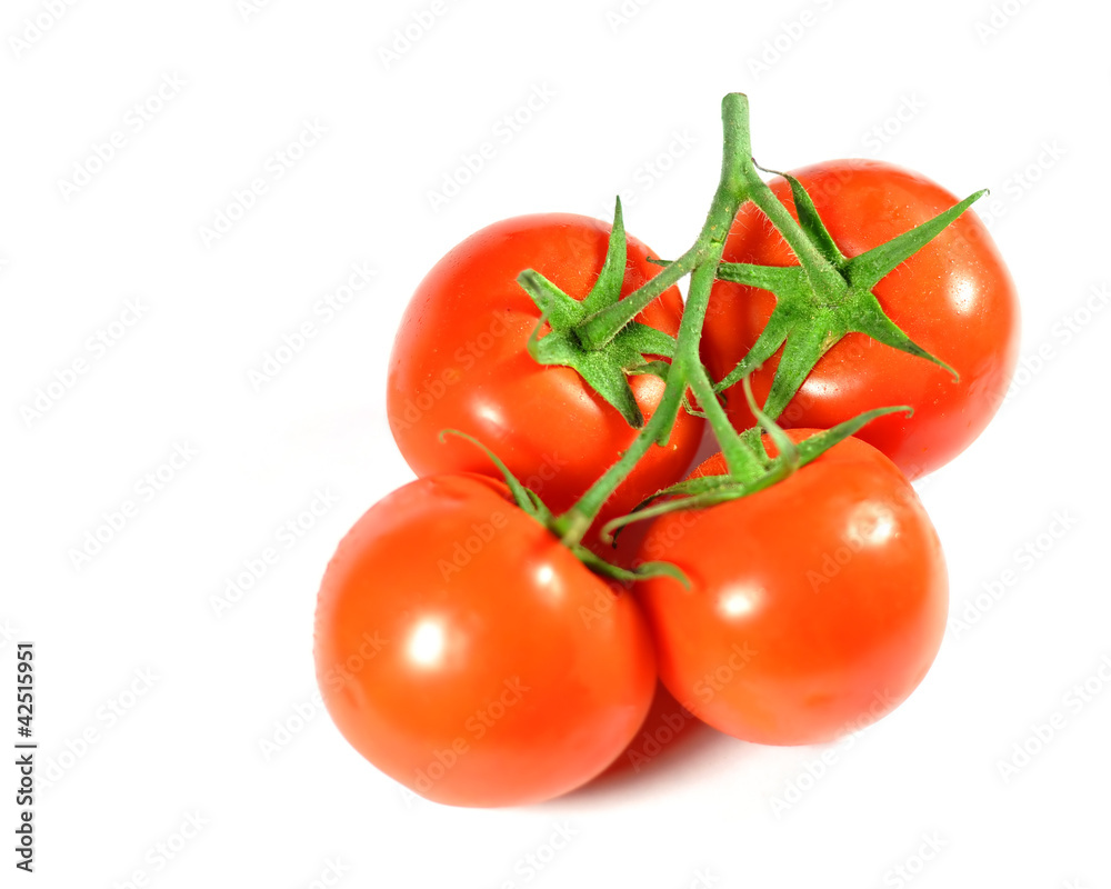 Tomatoes on branch isolated on white Tomatoes on branch isolated on white