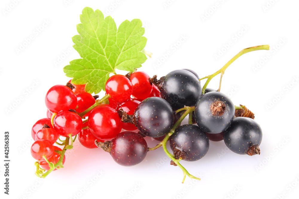black and red currant with green leaf isolated on white