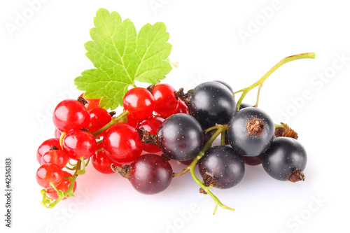 black and red currant with green leaf isolated on white