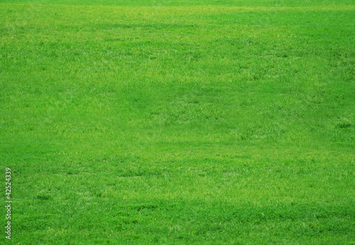 Green fresh grass field kit