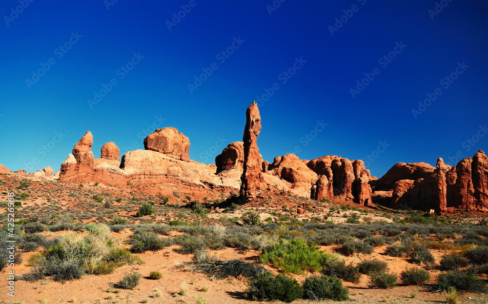 Arches National Park View