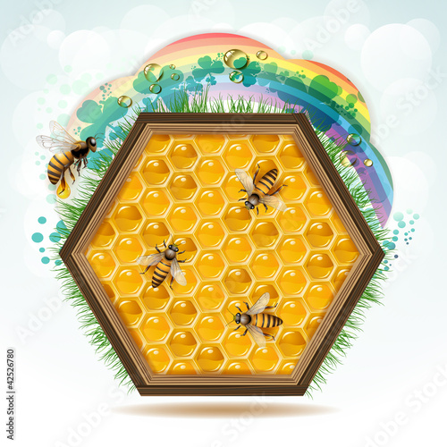 Wood frame with bees and honeycombs