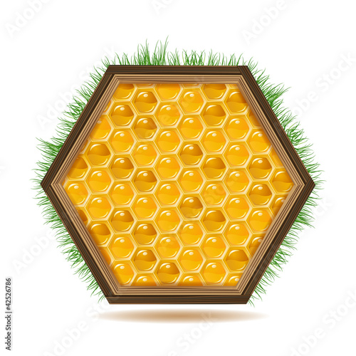 Wood frame with honeycombs