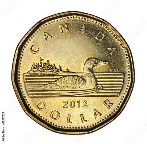 Canadian loonie one dollar coin photo