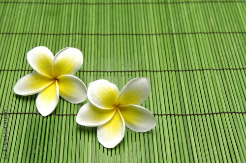 frangipani flower on green mat