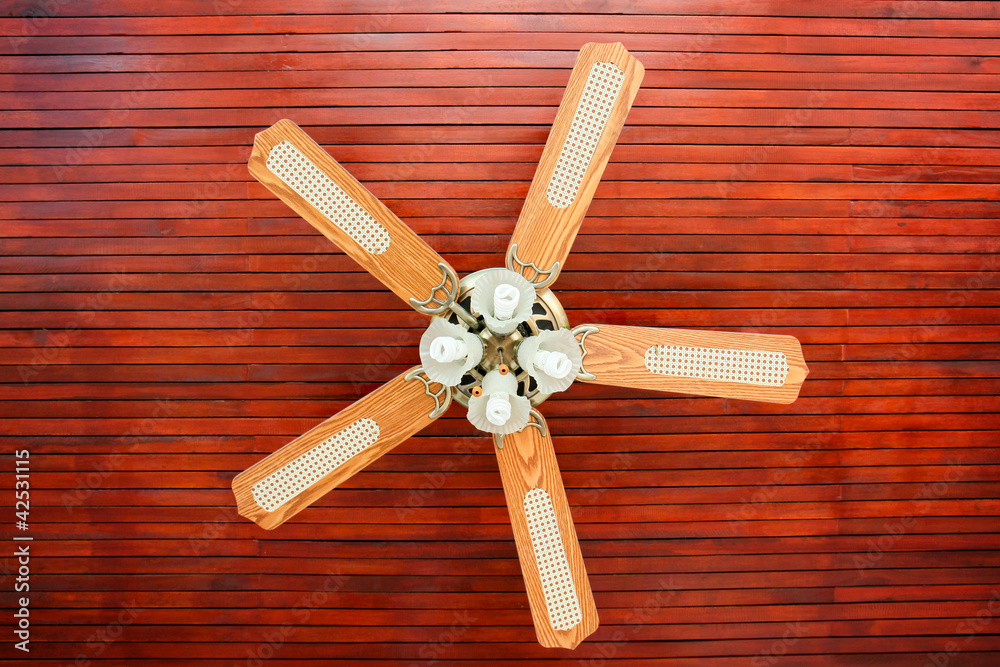 Ceiling fan Ceiling fan