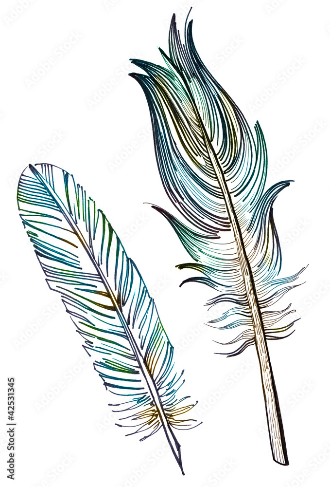 Obraz premium feathers