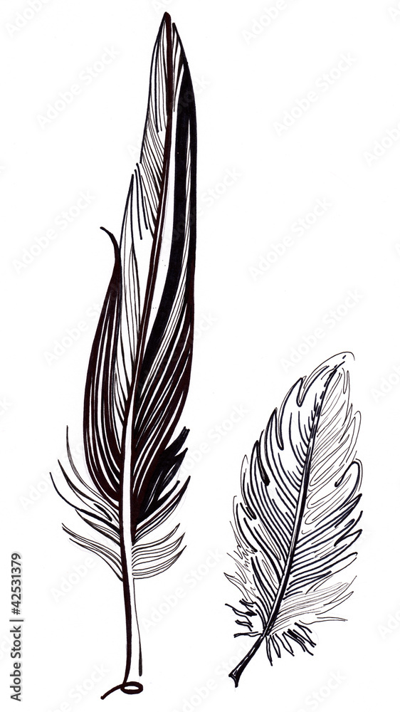 feathers feathers
