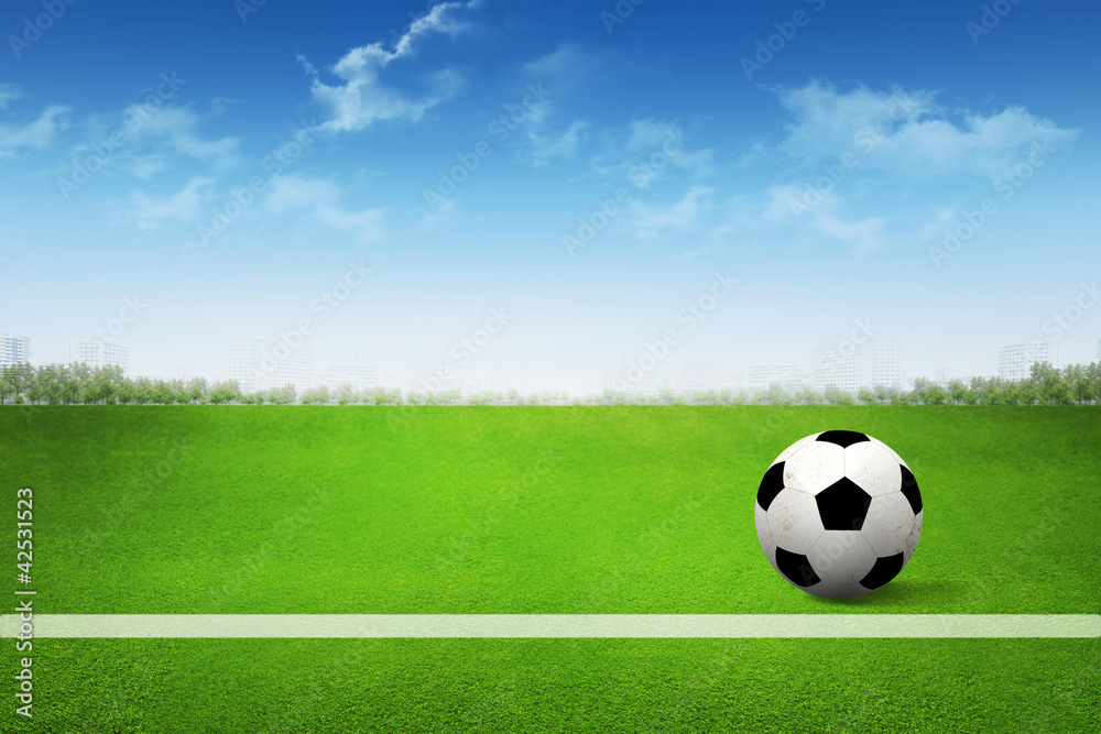 Soccer ball on soccer field