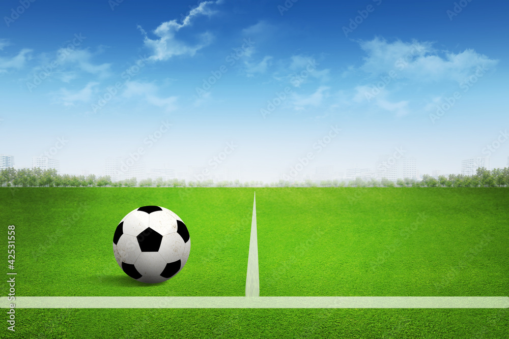 Fototapeta premium Soccer ball on soccer field