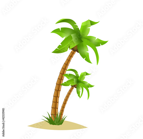 Palm tree