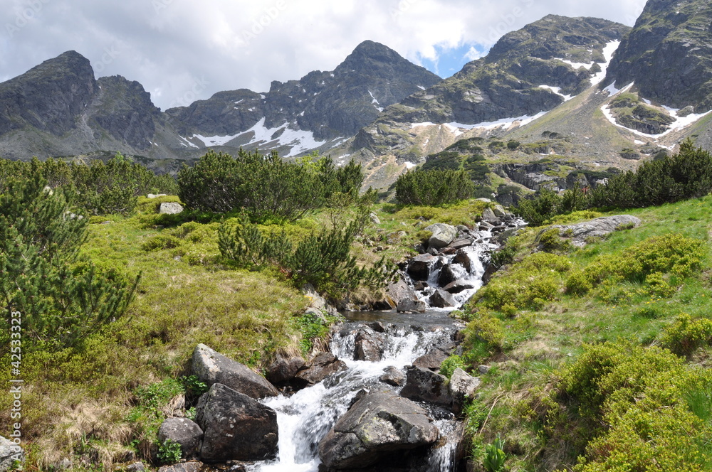 Mountain landscape with stream horizontally