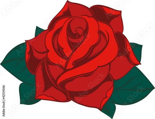 rot Rose grün Blätter