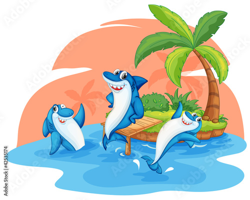 shark fish on island