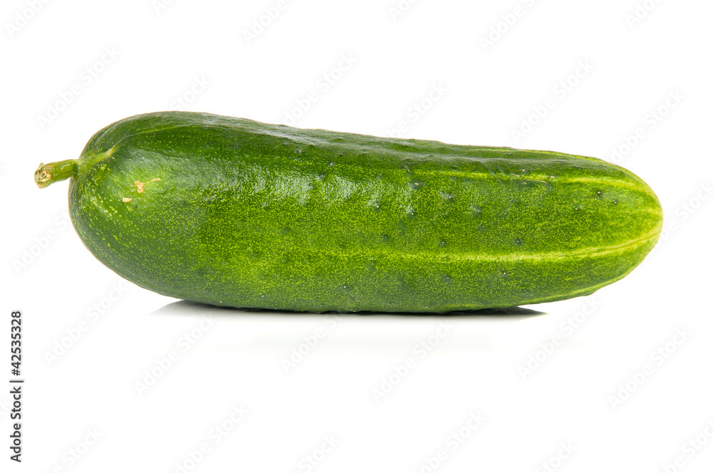 Fresh green Cucumber Fresh green Cucumber