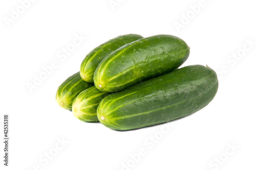 Fresh green Cucumber
