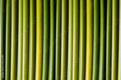 Green stems