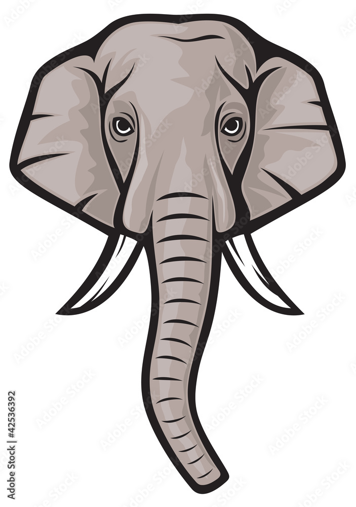 elephant head elephant head