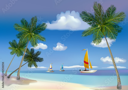 The sea, yachts, palm trees.