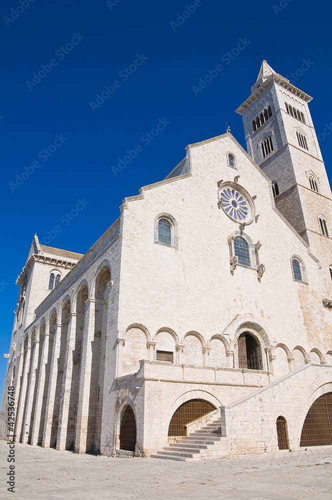 Fototapeta premium Cathedral of Trani. Puglia. Italy.