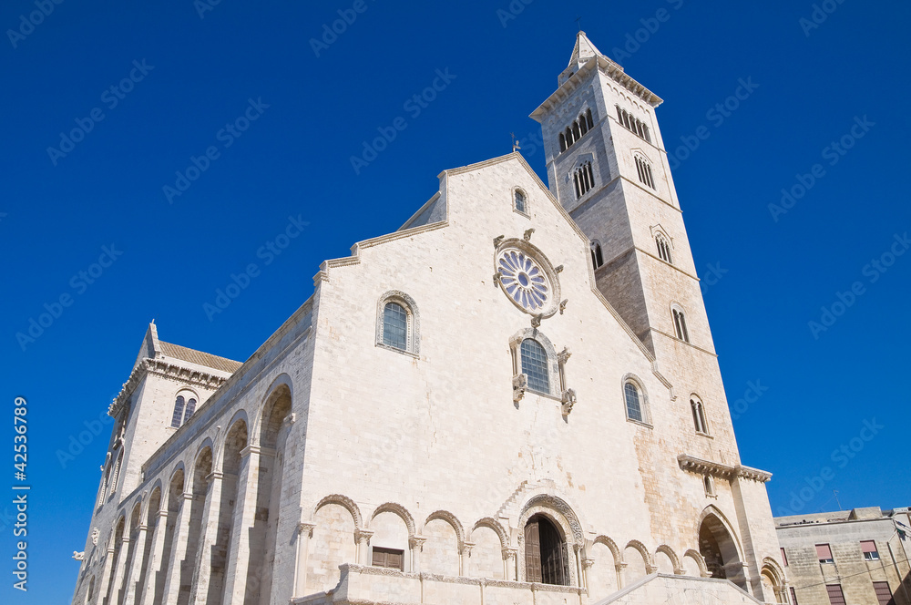 Fototapeta premium Cathedral of Trani. Puglia. Italy.