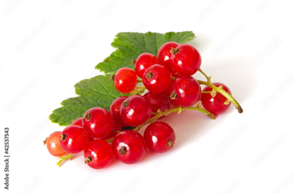 Johannisbeeren Johannisbeeren