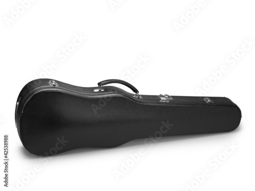Violin Case