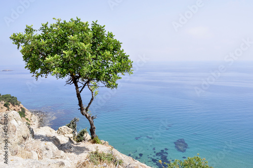 Cipro. Cyprus. Il mare e la costa nei Baths of Aphrodite