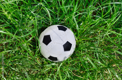 soccer ball on green grass © odenis83
