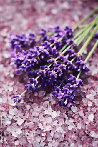 lavender bath salt