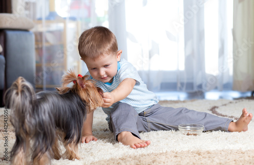 kid feeding dog puppy indoor