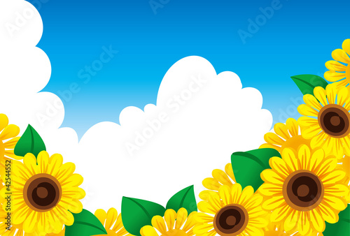 ひまわりと入道雲