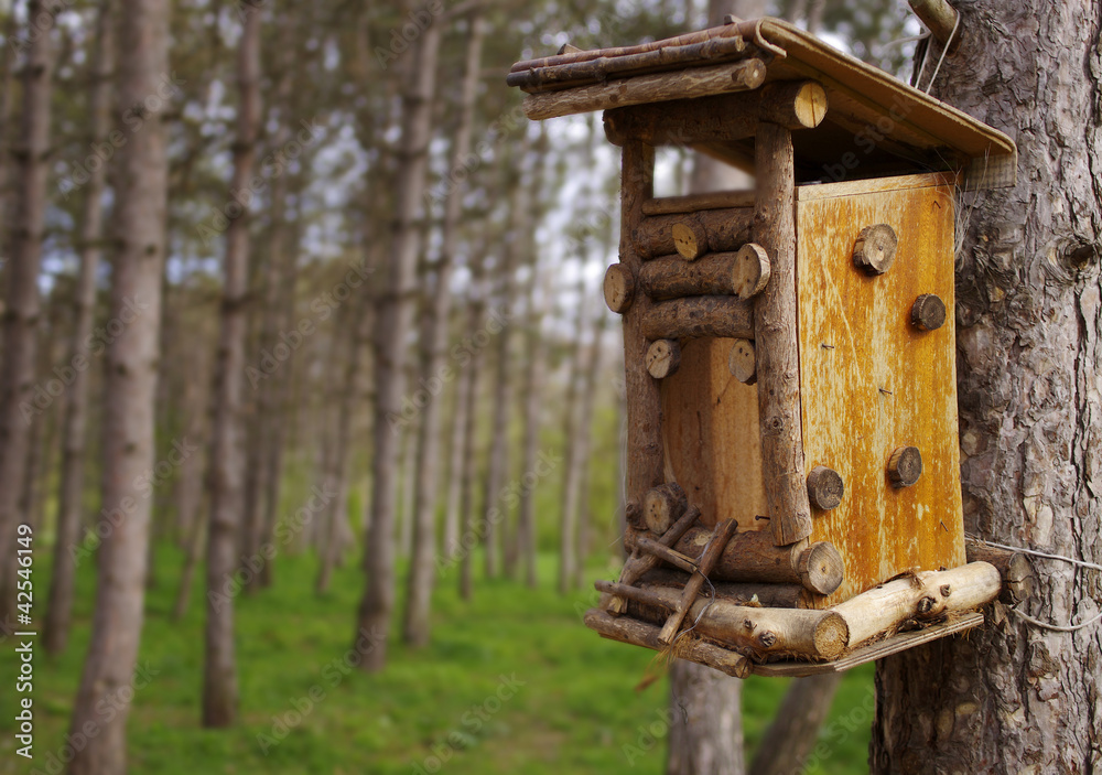 bird feeder in a wooden house in the garden