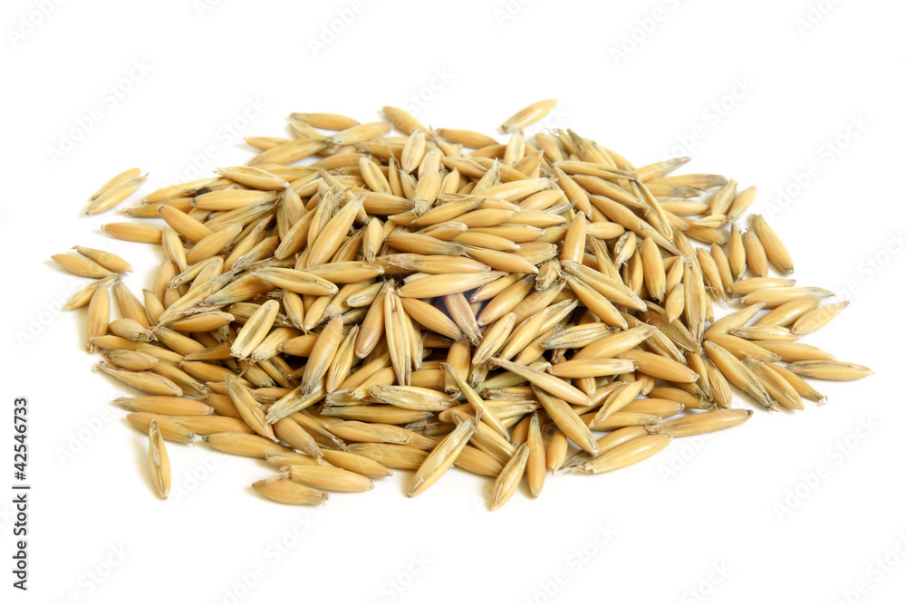 Natural oat grains